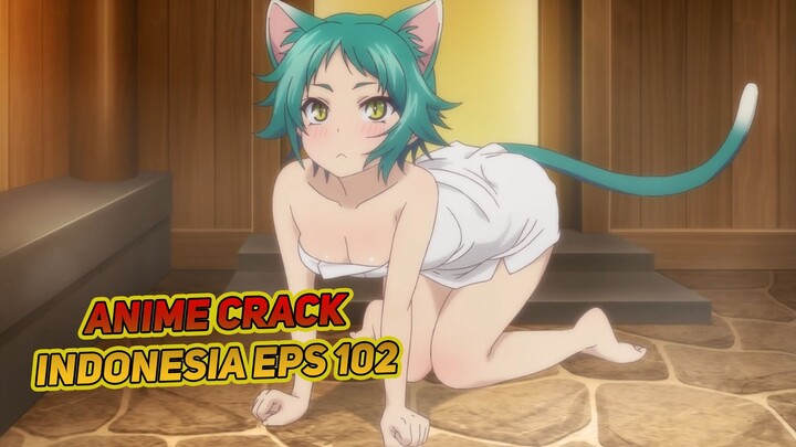 Ini Semua Gara-Gara Kucing | Anime Crack Indonesia Episode 102