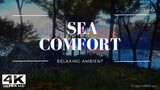 Discover Total Comfort by the Serene Sea: Relax and Recharge
