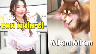 Ngáo Gia Gia | 1 Chiếc CHÓ Thích Đi Nhìn Trộm Mẹ THA.Y Đ.Ồ Là Cảm Giác Gì ? 😂 Gâu Đần Official