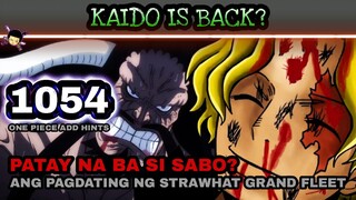 One piece 1054: (Add hints) Patay naba si Sabo? Ang pagdating ng Grandfleet sa wano? Kaido is back