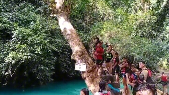 kawasan falls to do