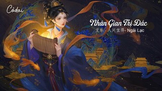 [Vietsub + Pinyin] Nhân Gian Trị Đắc - Ngải Lạc | 艾乐 - 人间值得