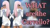 What Are the Cervello? | Hitman Reborn | Summary and Theory