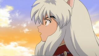 [ InuYasha ] InuYasha đã canh giữ giếng được ba năm nhưng vẫn không thấy Kagome?