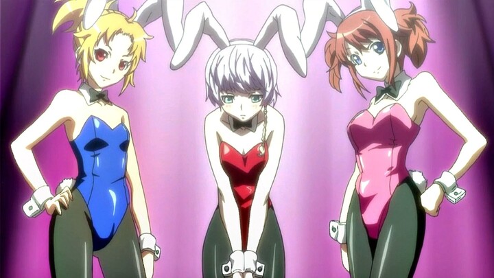 Boys cosplaying as bunny girls!!