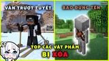 Những vật phẩm KỲ LẠ đã bị Mojang LOẠI BỎ | GameChan