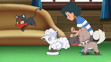 Pokemon Sun and Moon Episode 30 (Dub)