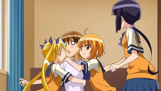 [Harem Anime Collection] 30 harem anime are selected. Watching harem anime is fun for a while, and y