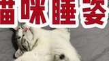 Analysis of cat sleeping postures, what kind of cat is yours?