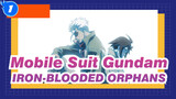 [Mobile Suit Gundam] IRON-BLOODED ORPHANS, Destiny_1
