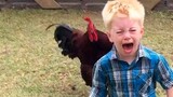 Funniest Animals Scaring People Reactions of 2020 Weekly Compilation 🐙🦆🦀🐓 Funny Pet Videos