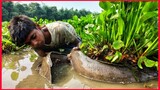 Amazing Boy Catching Big Catfish By Removing Water Lily.
