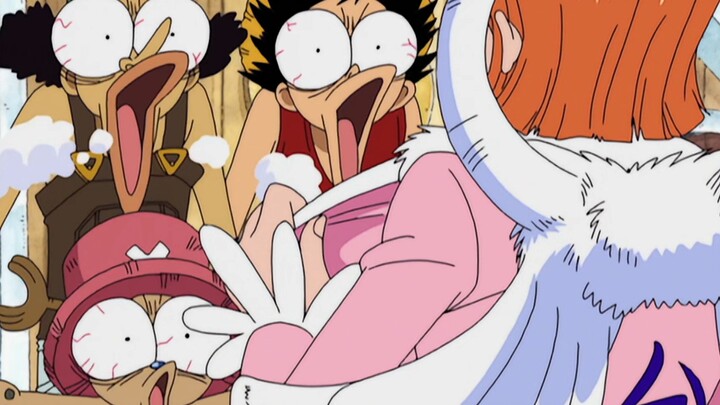 The Straw Hat Pirates' various reactions when they see the beauties!