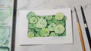 [Painting]Watercolor painting teaching of hydrocotyle vulgaris