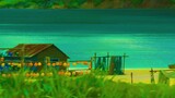 [8K top quality reset] Let Miyazaki comfort the summer heat
