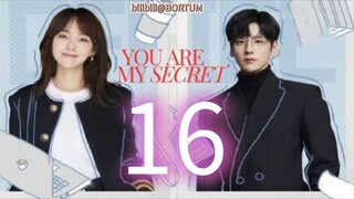 You Are My Secret ep 16 (sub indo)