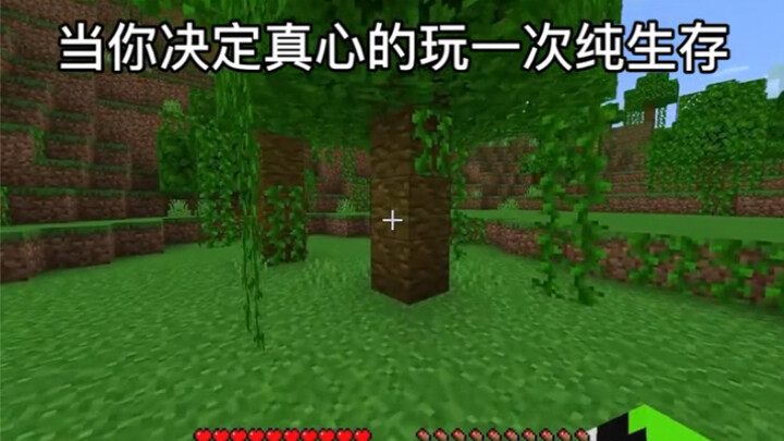 Minecraft: Is this what it looks like if you decide to play pure survival?