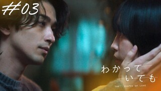 Wakatte Ite mo: The Shapes of Love Episode 03 Sub Indo