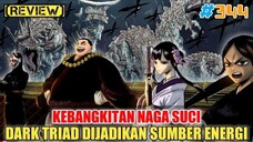 [REVIEW] INVASI DIMULAI❗BANGKITNYA NAGA SUCI❗DARK TRIAD DIJADIKAN SUMBER ENERGI❗BLACK CLOVER 344