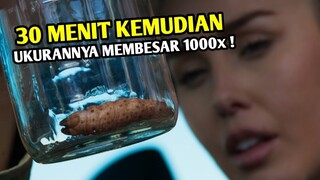 Awal mula wabah cacing pemakan daging yang bisa membesar 1000x lipat