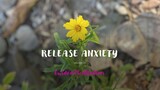 Release Anxiety 🌷 Guided Meditation