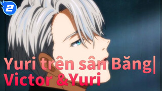 Yuri trên sân Băng|
Victor &Yuri_2