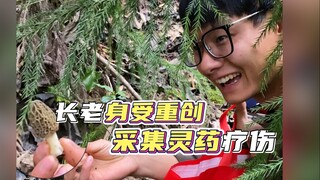 什么大道创伤，竟需要极品灵药治疗？