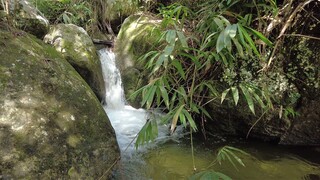 More than amazing, elephant waterfall imprint