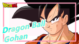 [Dragon Ball] DB Z: Gohan Petarung Tunggal Terkuat! Impianmu Nyata di Dunia yang Damai