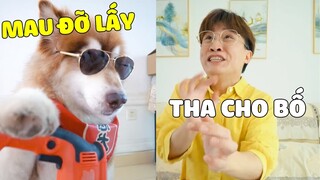 Đông Dương Đại Ngáo | Bố Khóc Thành Dòng Khi Ngáo Đông Dương Lên Làm Chủ Ngôi Nhà 🤣 Gâu Đần Official