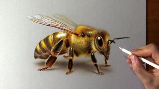 Gambarlah seekor lebah besar, ini tidak nyata!