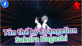 [Tân thế kỷ Evangelion: Q] Sakura Nagashi (Bản phối tiếng Trung) / Nhạc nền_1
