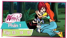 Winx Club - Phần 1 Tập 13-14-15 - (LỒNG TIẾNG)