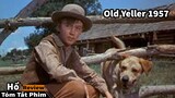 Tóm tắt phim : Old Yeller 1957