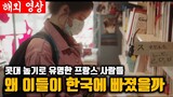"한국엔 K-pop, K-drama, K-food만 있는 게 아니다" - 한국의 다양한 문화를 즐기는 프랑스 사람들(해외반응)