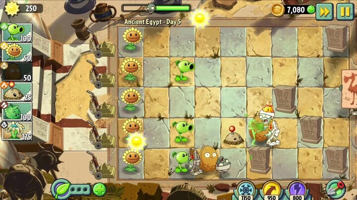 game plants & Zombies