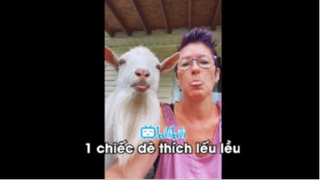 Meme Mặn Mòi Dành Cho Bọn Thiếu Muối - p2