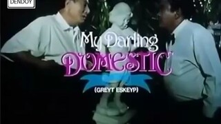 my darling domestic(dolphy)