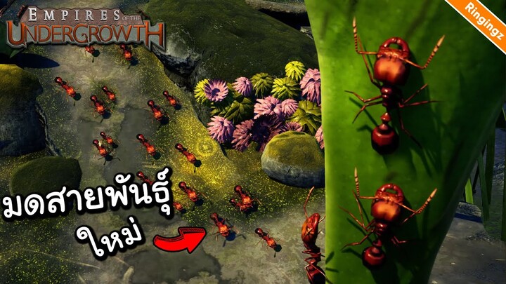 มดสายพันธุ์ใหม่กำลังจะมา - Empire of the undergrowth Cold Blood