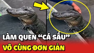 Bí quyết làm quen với bé CÁ SẤU tưởng khó mà siêu dễ 😂 | Yêu Lu