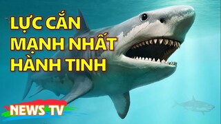 16 loài vật có lực cắn mạnh nhất hành tinh