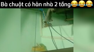 Nhà bà chuột này chanh xả quá😂