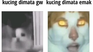 Kucing Di Mata Gw Dan emak🗿