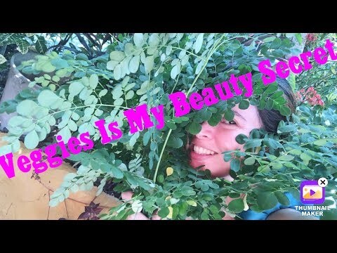 My Beauty Secret | Philippines Vegetables Moringa | Malunggay | Witty Bonita