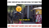 Cầm 1000$ gạ gái chia tay bạn trai #giaitri