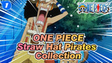 ONE PIECE|Straw Hat Pirates：Living on the fleet （EP 17)_1
