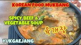 MUKBANG MAKANAN KOREA YUKGAEJANG 육개장 | SPICY BEEF & VEGETABLE SOUP