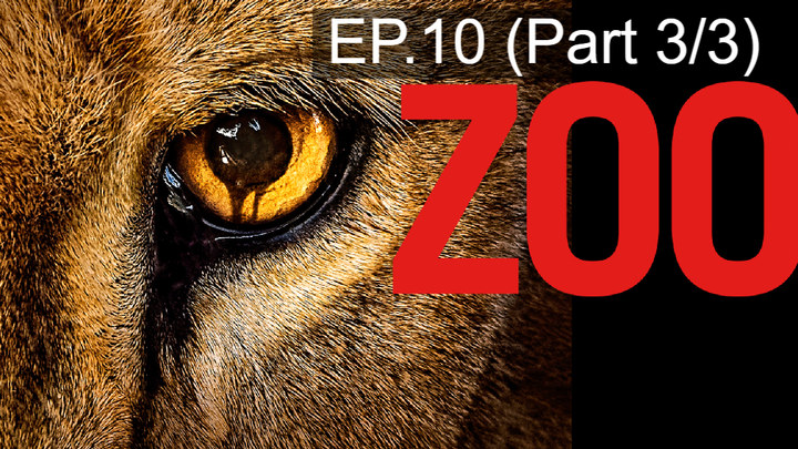 🔥ดูซีรี่ย์🔥Zoo Season 1 สัตว์สยองโลก พากย์ไทย EP10_3