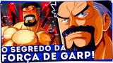 COMO GARP ERA TÃO PODEROSO MESMO SEM AKUMA NO MI? (Descobri o motivo!)