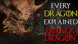 Every (20) Ferocious Dragons That Will Appear In House Of Dragons Series - Backstories Explored